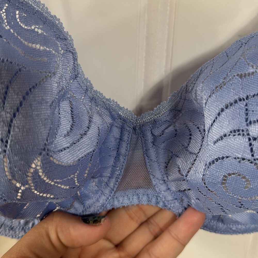 Elegant Blue Lace Bra - Picture 4 of 11